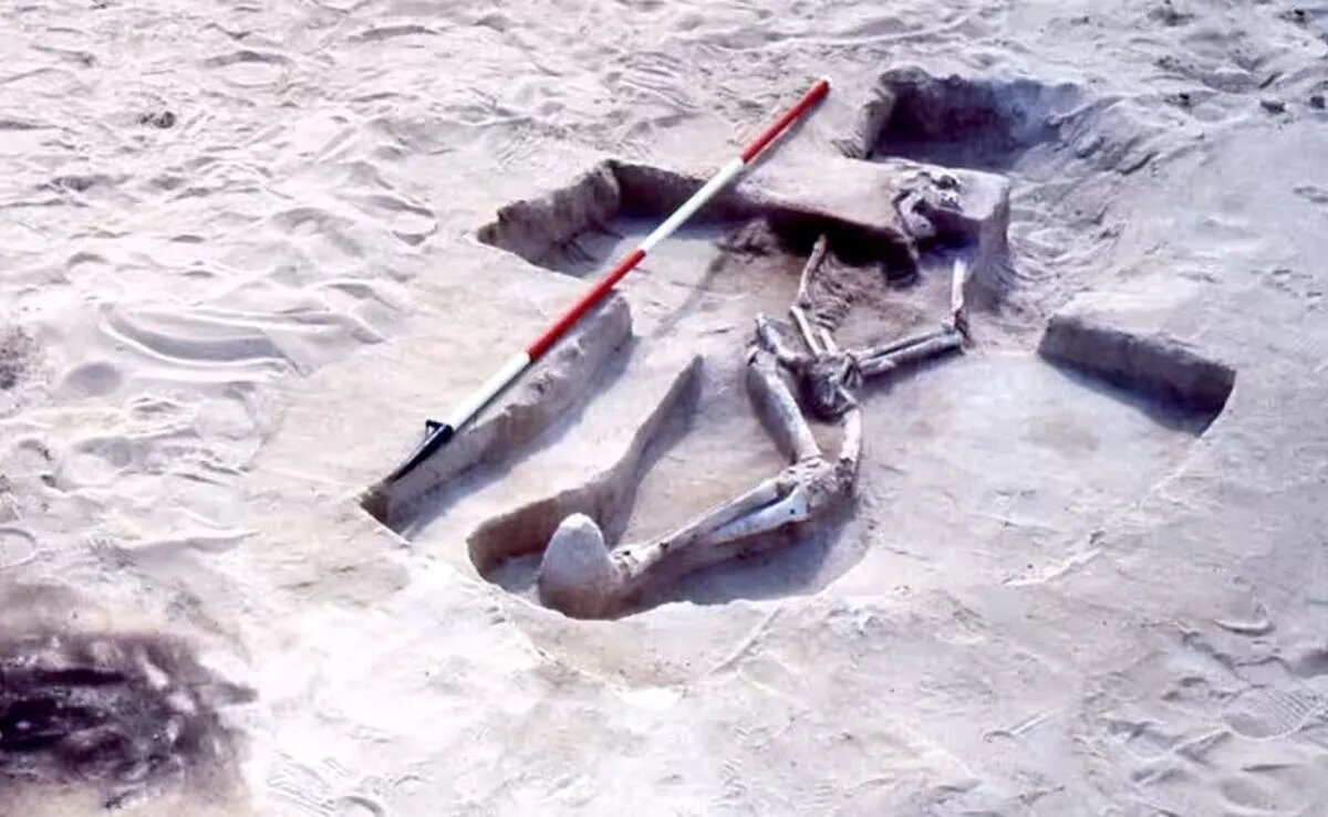 Read more about the article کشف اسکلت ۴۰ هزار ساله در دریاچه مانگو تاریخ استرالیا را متحول کرد