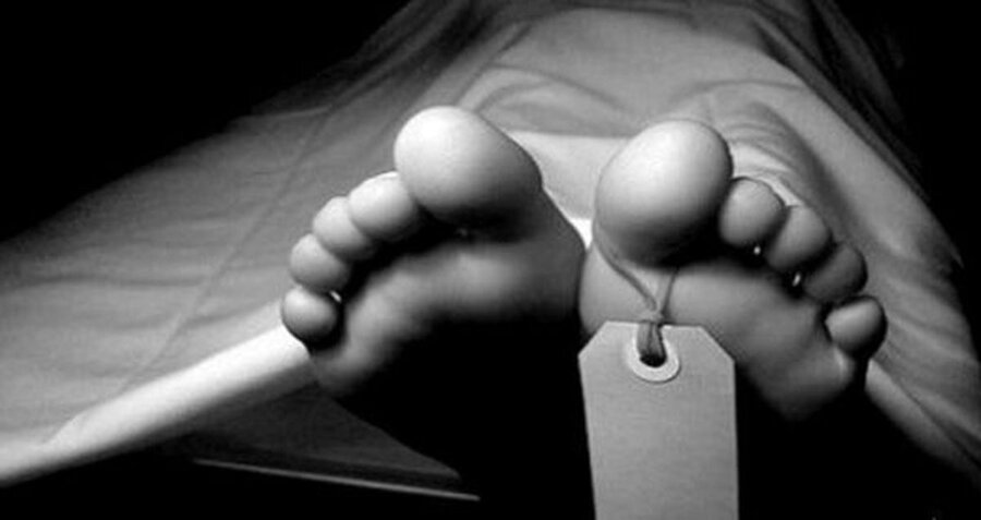 قتل زن نخبه و مشهور ایرانی در آمریکا به دست همسرش